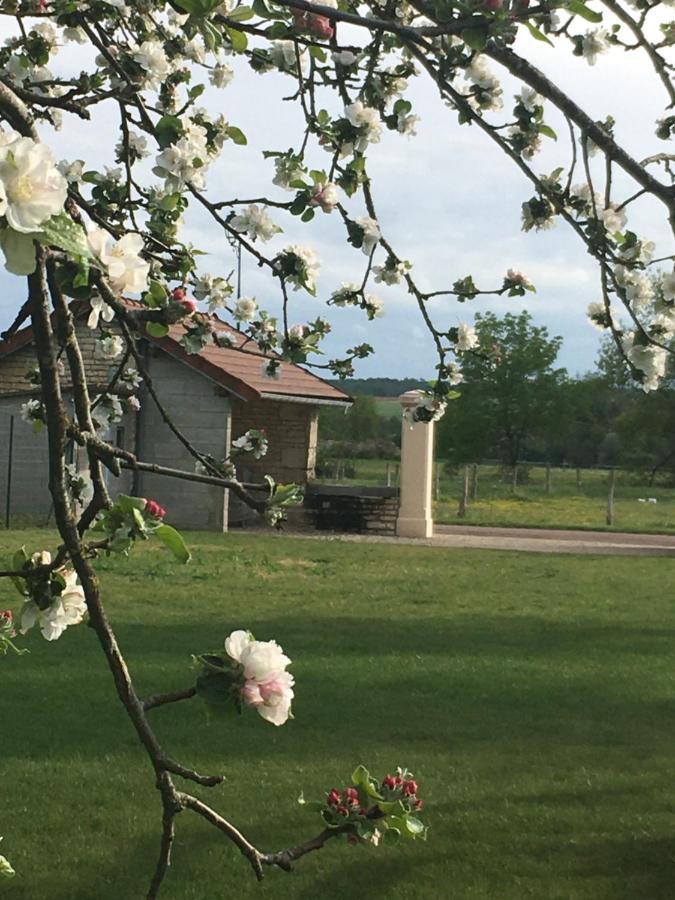 La Maisonnette Dintevilloise Dinteville Kültér fotó